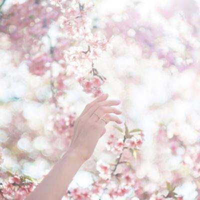 半岛官方体育网页登录截图